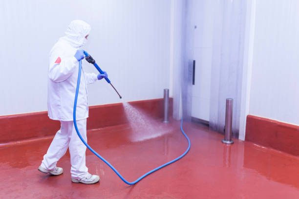 Best Spring Cleaning  in Muniz, TX