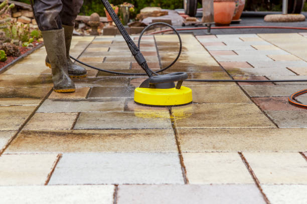 Best Roof Washing  in Muniz, TX