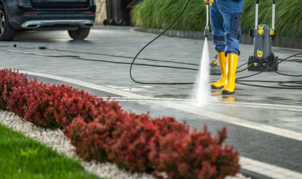 Best Dumpster Area Cleaning  in Muniz, TX